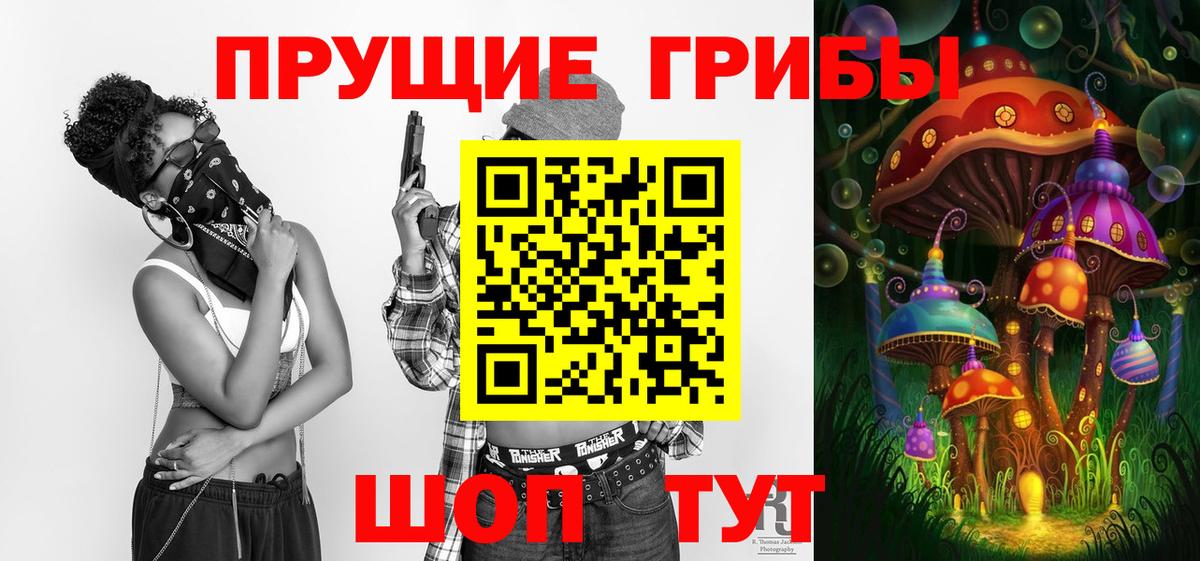 Курчатов  Псилоцибиновые грибы мицелий  Псилоцибиновые грибы Cubensis  купить  цена  Вход с VPN 