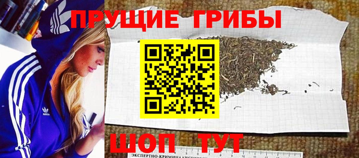 Галлюциногенные грибы мицелий Курчатов